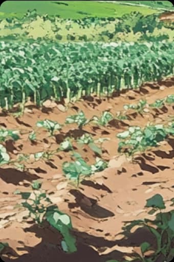 Scale 02